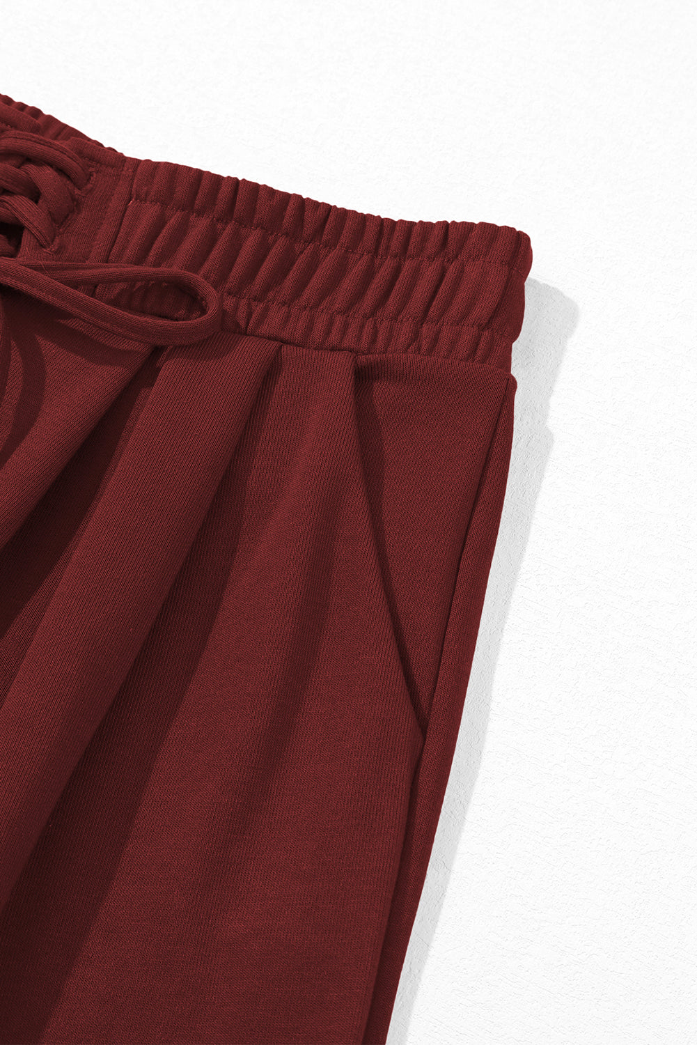 Burgundy Tied Elastic High Waist Pleated Detail Solid Sweatpants
