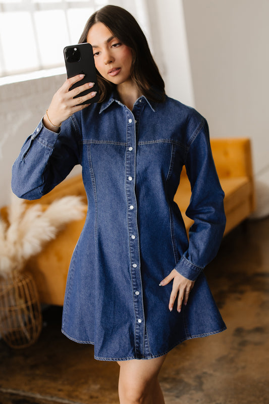 Blue Denim Shirt Collar Flared Mini Dress